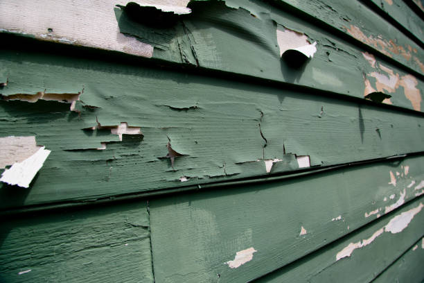 Best Siding Painting and Refinishing  in Mill Valley, CA